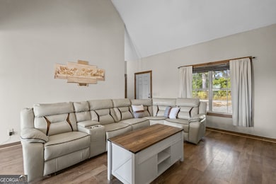 468 Lake Lannell Rd, Odum, GA 31555 - photo 7