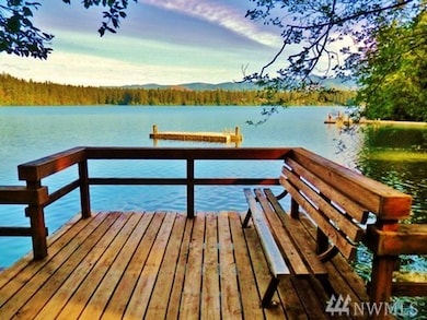 17318 E View Ln SE, Yelm, WA 98597 - photo 6