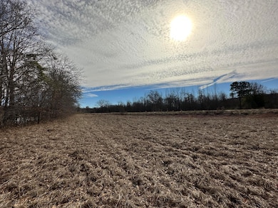 DC6A4C09-8A56-46BA-BF77-D49A443BDFF4