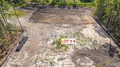 433 Sonny Way, Ladson, SC 29456 - photo 3