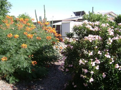 6611 E Ellis St, Mesa, AZ 85205 - photo 6