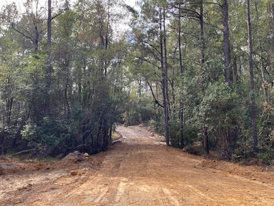 1 Highway 59, Stockton, AL 36579 - photo 2