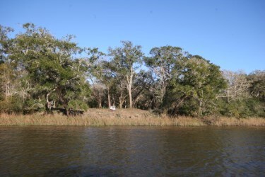 3745 Farm To Market 2611, Brazoria, TX 77422 - photo 4