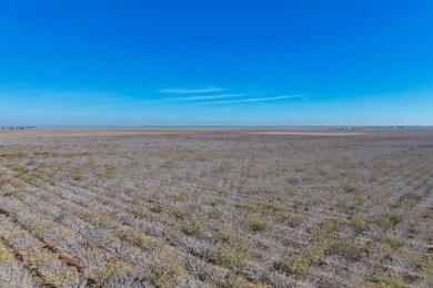 33571 W Adams Ave, Mendota, CA 93640 - photo 7