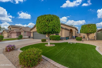 1724 E Pony Ln, Gilbert, AZ 85295 - photo 6