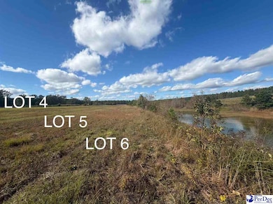 Lot 5 Mallory Beach Rd, Latta, SC 29565 - photo 3