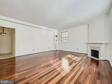 The Historic Belvedere Grand Condominium unit 302, Baltimore, MD 21202 - photo 6