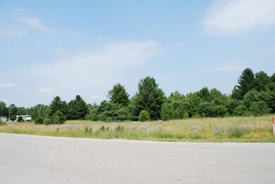 TBD Us 131 unit @ M-32, South parcel, Elmira, MI 49730 - photo 4