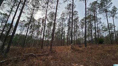 14304 Hargrove Rd E, Cottondale, AL 35453 - photo 3