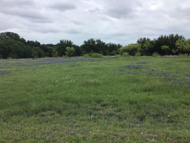 20011 Misty Valley Cir, Whitney, TX 76692 - photo 5