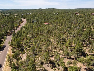 1870 S Pleasant View Dr unit 429, Show Low, AZ 85901 - photo 5