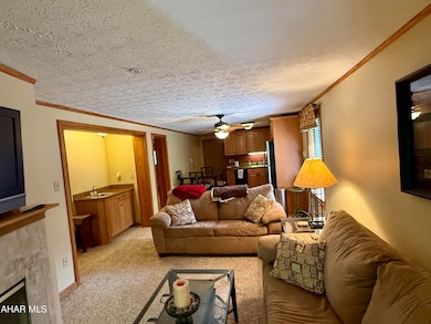 143 E Valley Point Ln unit 1323, Claysburg, PA 16625 - photo 7