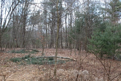 17 Longhorn Rd, Union Township, PA 16652 - photo 5