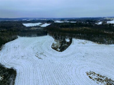 0 Olesiak Rd unit 1570427, Strickland, WI 54895 - photo 6