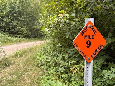 TBD Andrus Lake Trail NE, Crooked Lake Township, MN 56662 - photo 6