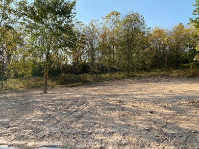 L65 Ph2 Irish Hills Estates, Nixa, MO 65714 - photo 3