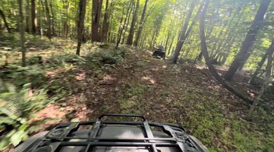 TBD-1 Peter Mabe Rd, Danbury, NC 27016 - photo 7