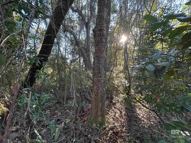 0 Bayou Shores Dr unit 371464, Coden, AL 36523 - photo 3