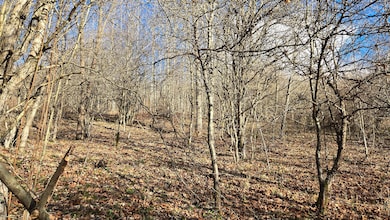 0 27 Acres Big Spring Elk unit 25-1445, Slatyfork, WV 26291 - photo 4