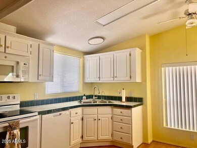 Freshly Painted Cabinets