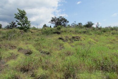 Looking Mauka from the lot.