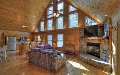 245 Hillbilly Holler, Blue Ridge, GA 30513 - photo 3