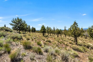 .45 Acre Lo 58 Summit Ridge Ct
