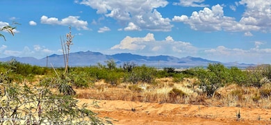 Lot 20 Willcox Road