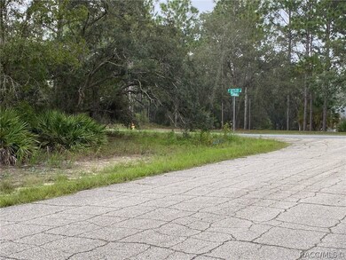 6185 W El Dorado Ln, Beverly Hills, FL 34465 - photo 3