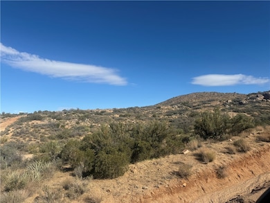 000 E Bogles Ranch Rd, Kingman, AZ 86401 - photo 6