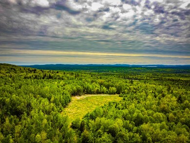 DJI_0550