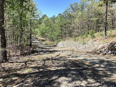 0 Chaparral Ln unit 24298349, Mena, AR 71953 - photo 2