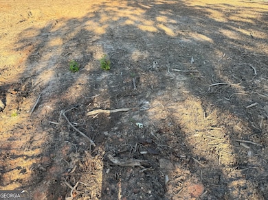 3980 Highway 5, Douglasville, GA 30135 - photo 2