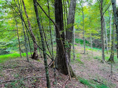 47/7 Do Rd unit Lot WP001, Harrisville, WV 26362 - photo 2