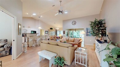 165 E Ireland Ct, Hernando, FL 34442 - photo 4