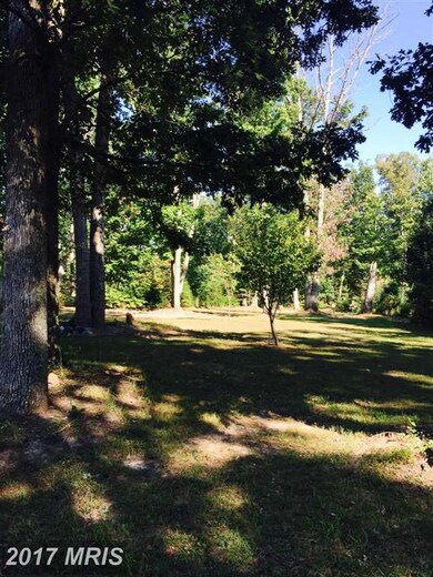 13615 Gabriel Ct, Spotsylvania, VA 22551 - photo 5