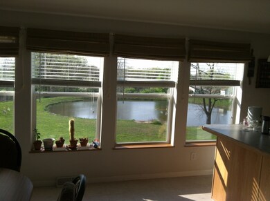 Kitchen view of pond