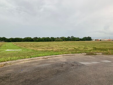 703 Damascus St, Rosenberg, TX 77471 - photo 2