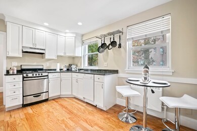 2 Dunning Way unit 110, Jamaica Plain, MA 02130 - photo 4
