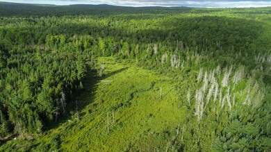 Beaver Bog