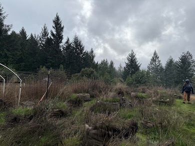 0000 Saber Tooth Rd, Willow Creek, CA 95525 - photo 3