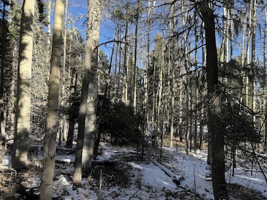 lot 99 Zia Rd, Angel Fire, NM 87710 - photo 4