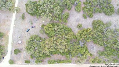 0 County Road 251 unit 1579193, Hondo, TX 78861 - photo 2