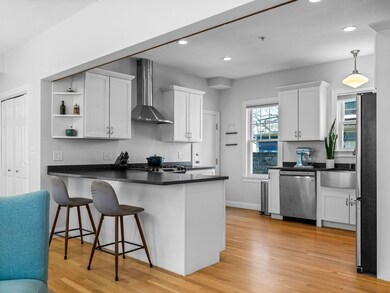 17 Glade Ave unit 1, Jamaica Plain, MA 02130 - photo 6