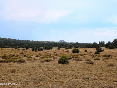 1109 Jackpot Ranch Rd, Seligman, AZ 86337 - photo 2