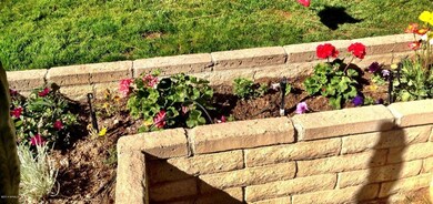 Front Yard Flowers