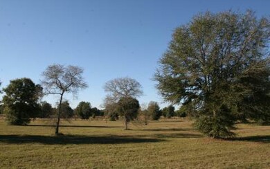 LOT71 Mandiba Dr, Lake City, FL 32024 - photo 3