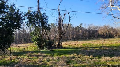 11532 County Road 219, Tyler, TX 75707 - photo 4