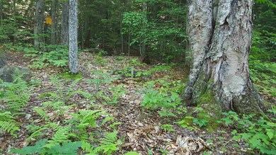 Lot 03-03-01 Thornton Gore Rd, Thornton, NH 03285 - photo 2