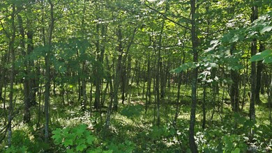 1021 Sedar Hill(parcel D) Rd unit (Parcel D), Calumet, MI 49913 - photo 3